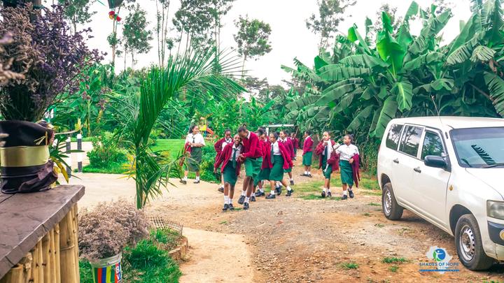 Students in uniform walking up a school drive